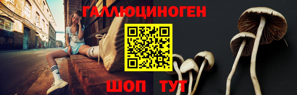 Галлюциногенные грибы GOLDEN TEACHER  Вход с VPN  Сегежа 